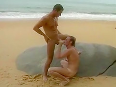 Gay Blowjobs On The Beach...