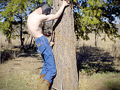 Horny Twink In A Dark Mask Fucks A Sex Toy That Is Strapped To A Tree In A Public Wilderness 3 Min...