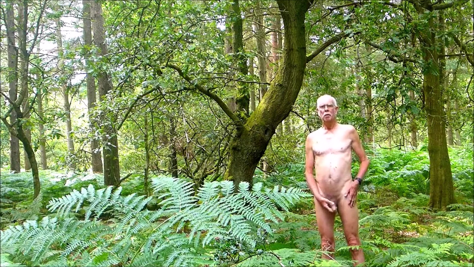 Hombre salvaje en el bosque