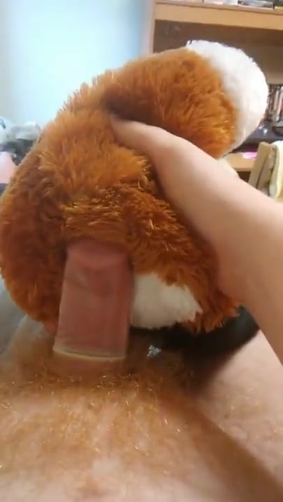 Stuffed Animal Fuck